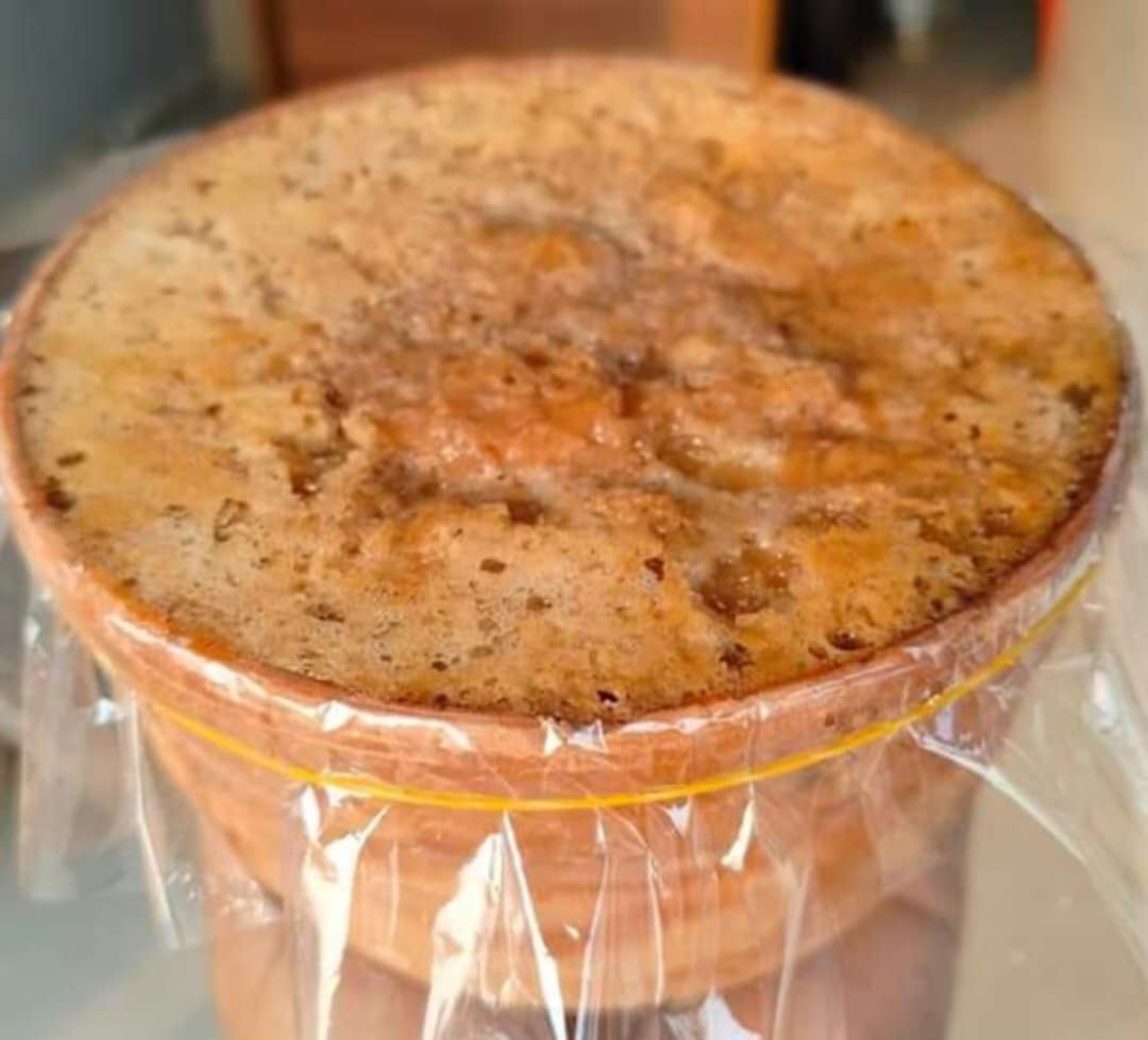 স্পেশাল হাড়ি দই