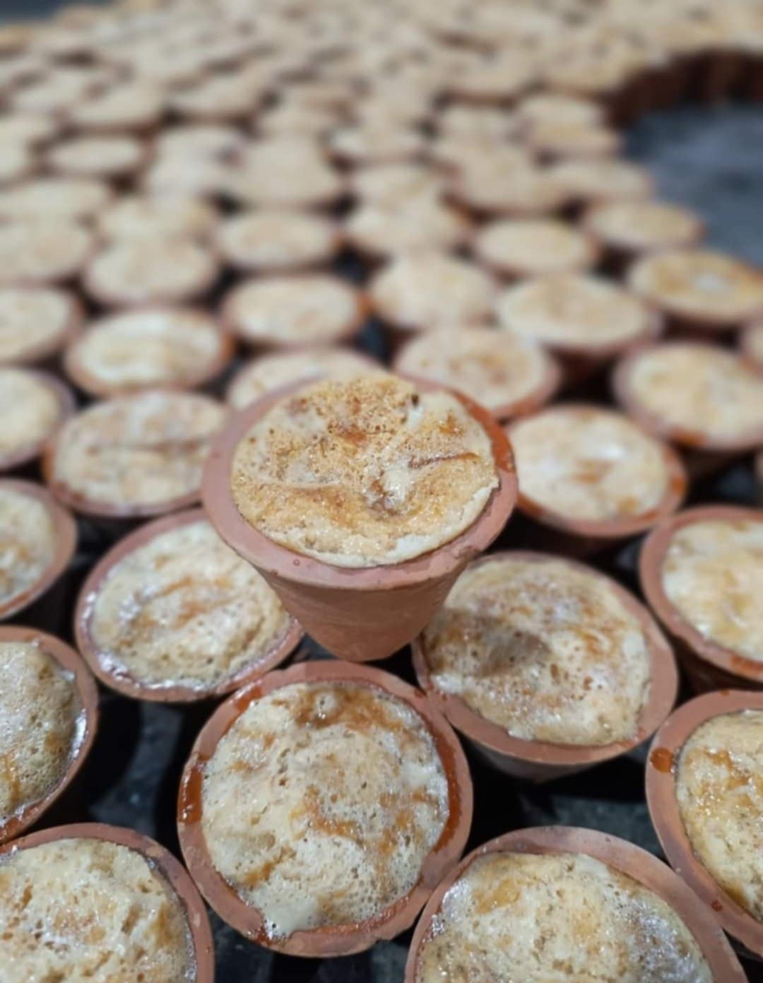 স্পেশাল কাপ দই