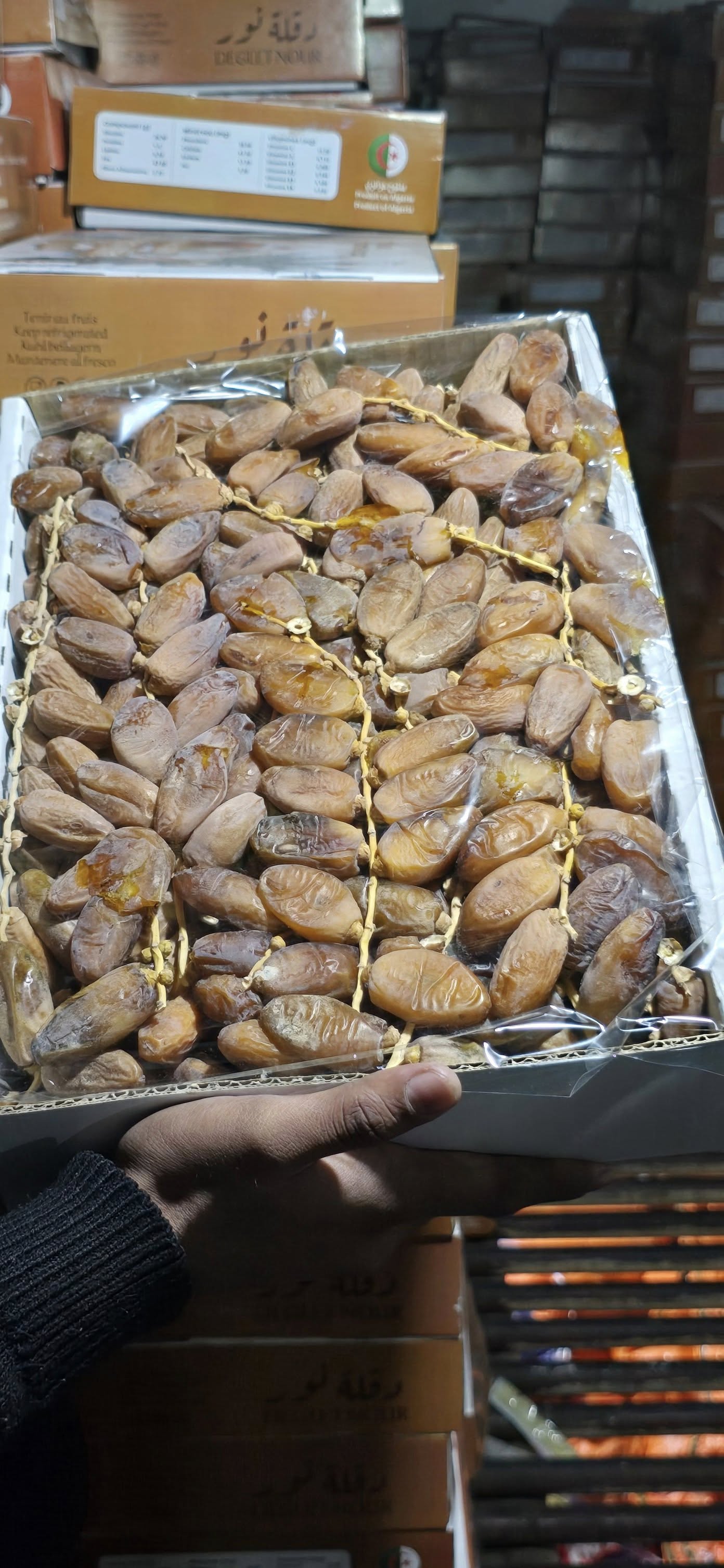 ছড়া খেজুর